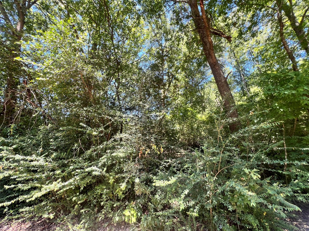 0004 Allentown Loop Property Photo 5