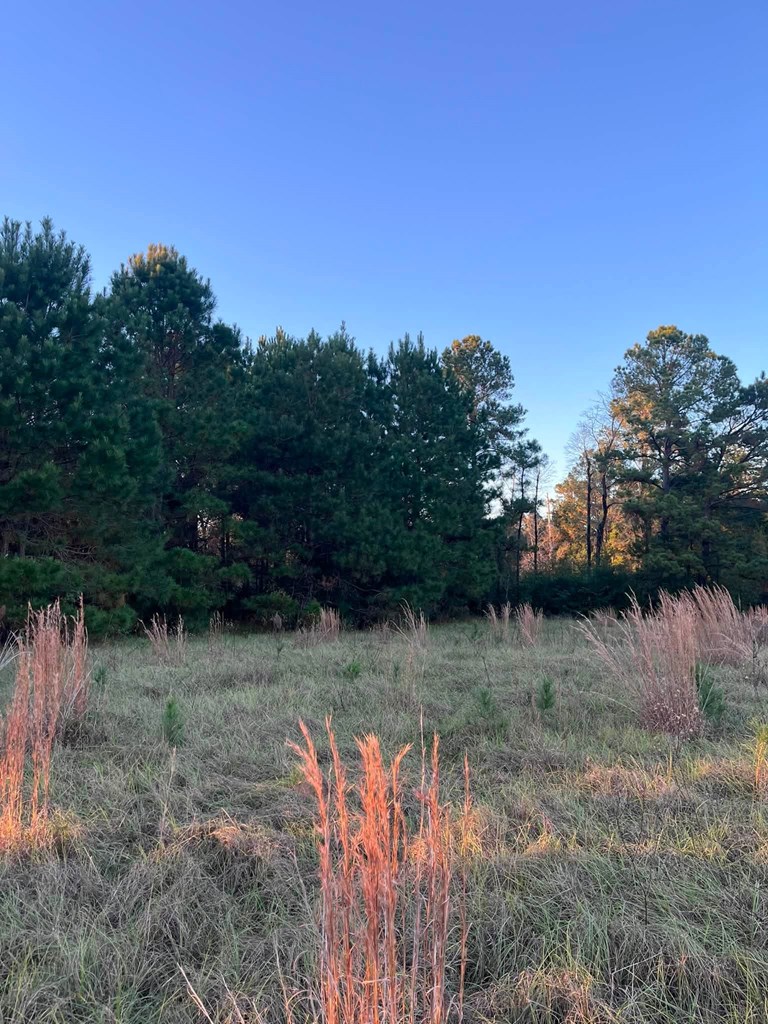 251 Pr 7701 Property Photo 10