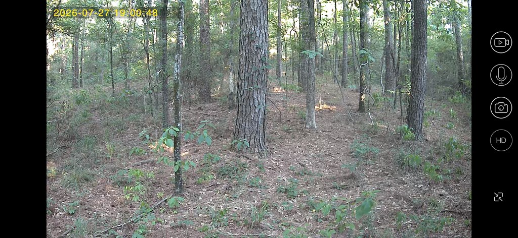 5849 Fm 357 Property Photo 4
