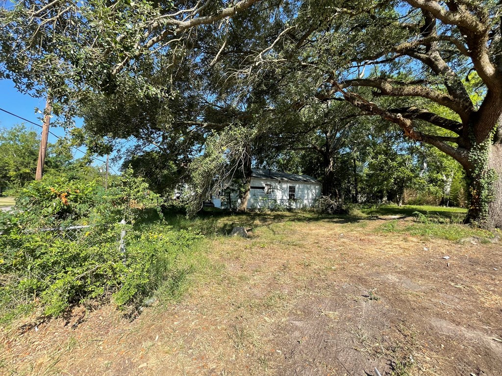 321 Humason Property Photo 4
