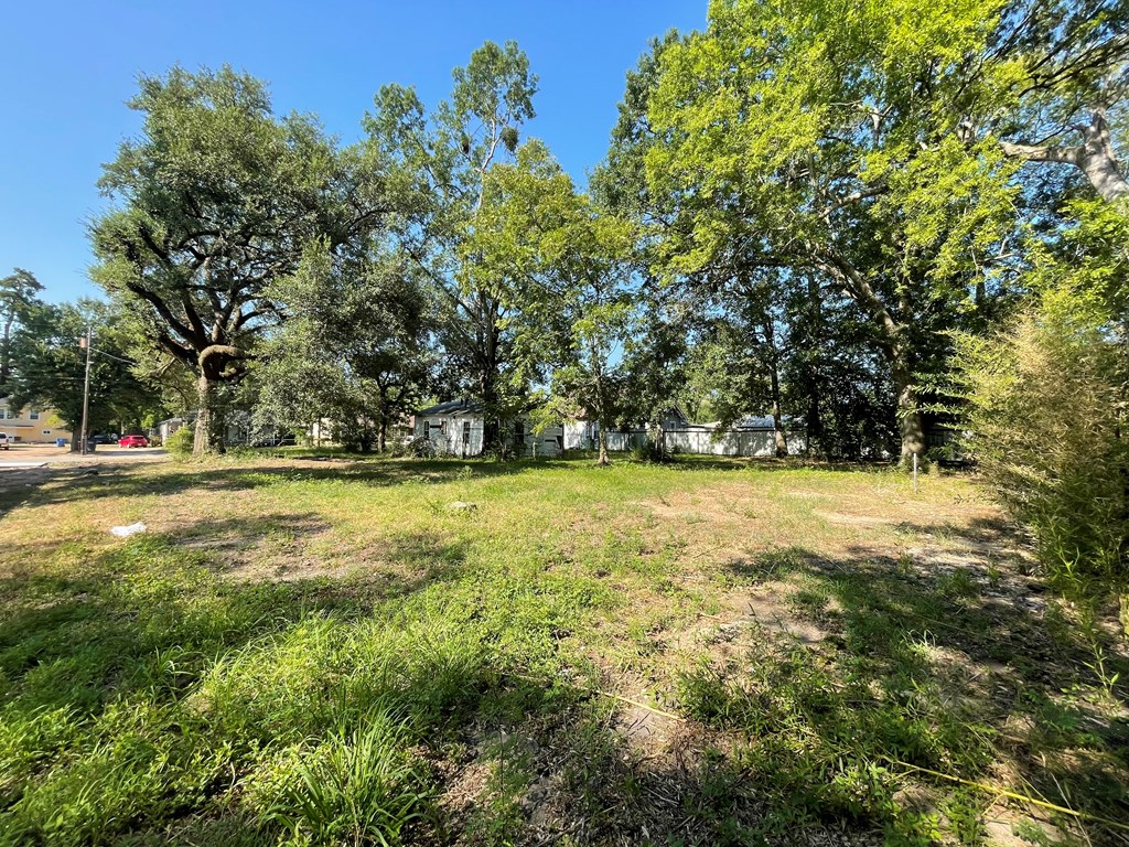 321 Humason Property Photo 6