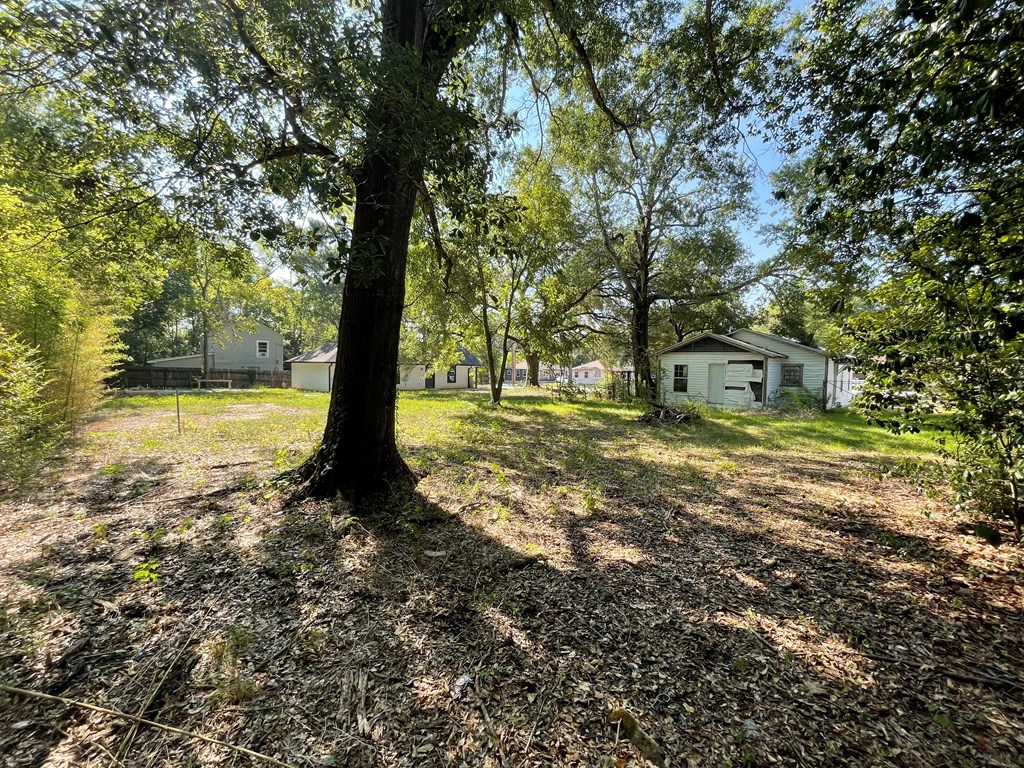 321 Humason Property Photo 7