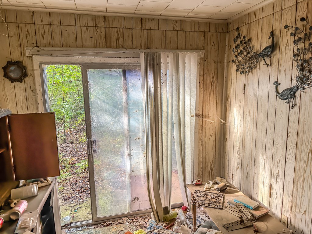 272 Head St. Property Photo 9