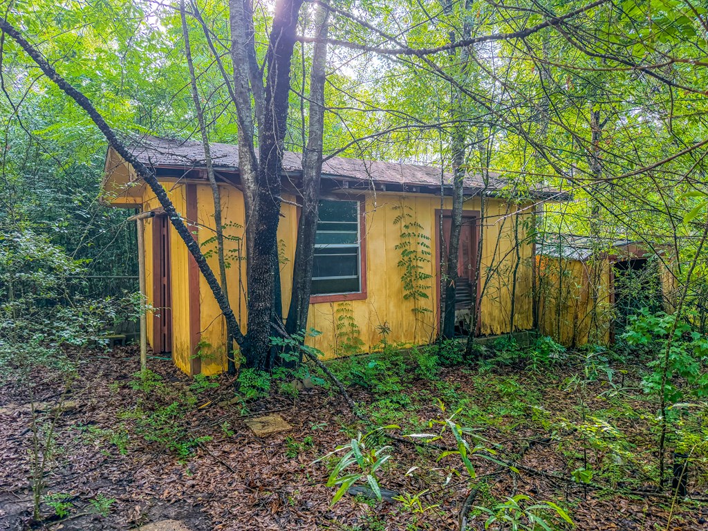 272 Head St. Property Photo 10