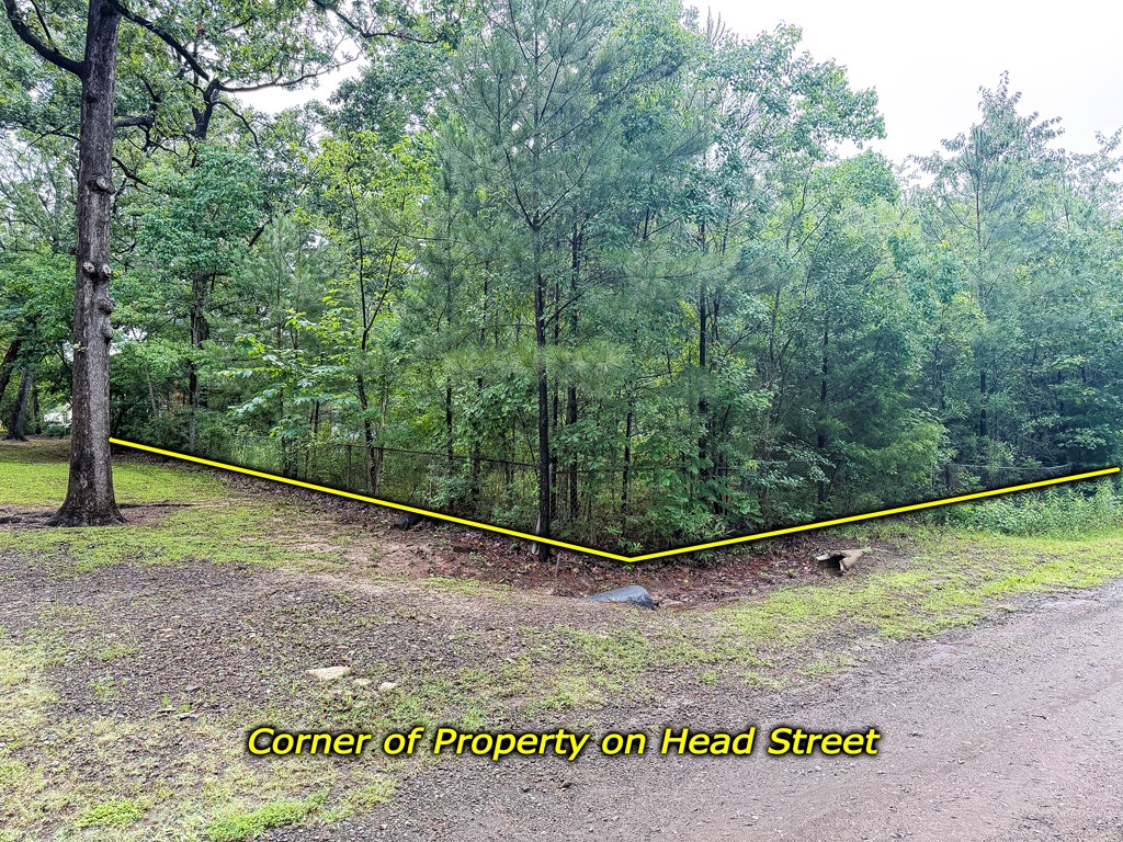 272 Head St. Property Photo 12