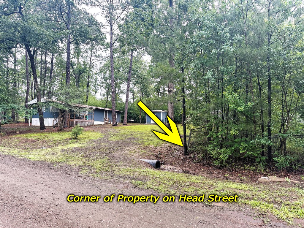 272 Head St. Property Photo 13