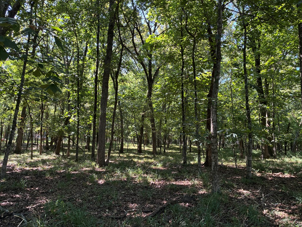 647 Cr 2131 Property Photo 4