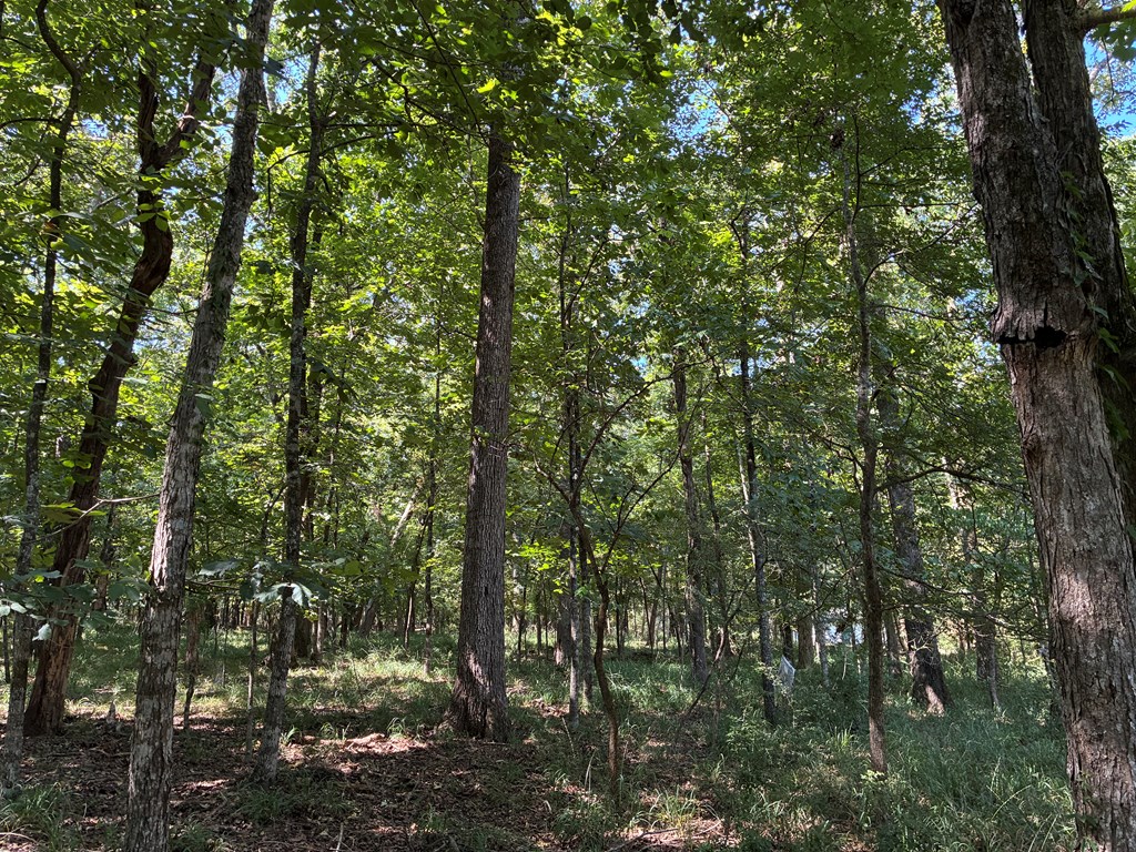 647 Cr 2131 Property Photo 6