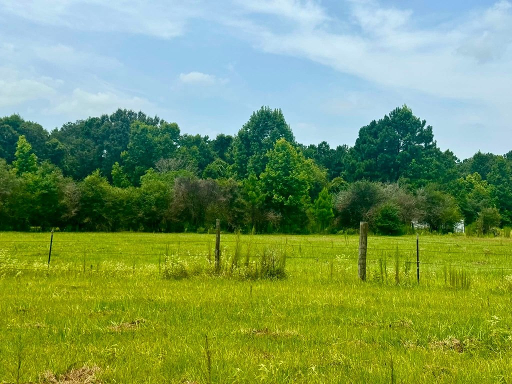 3882 Co Rd 4875 Property Photo 22