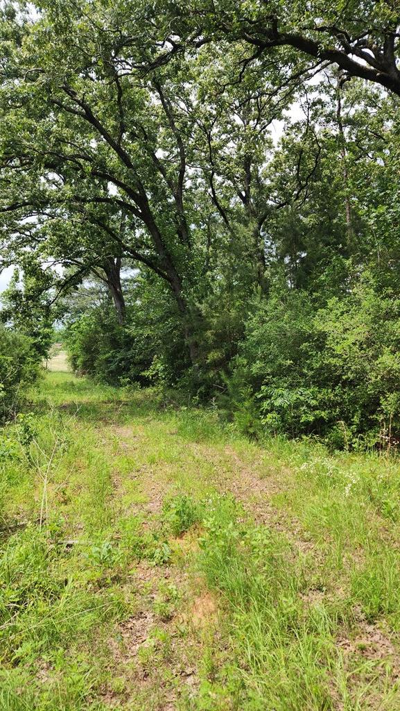 1281 Cr 864 Property Photo 2