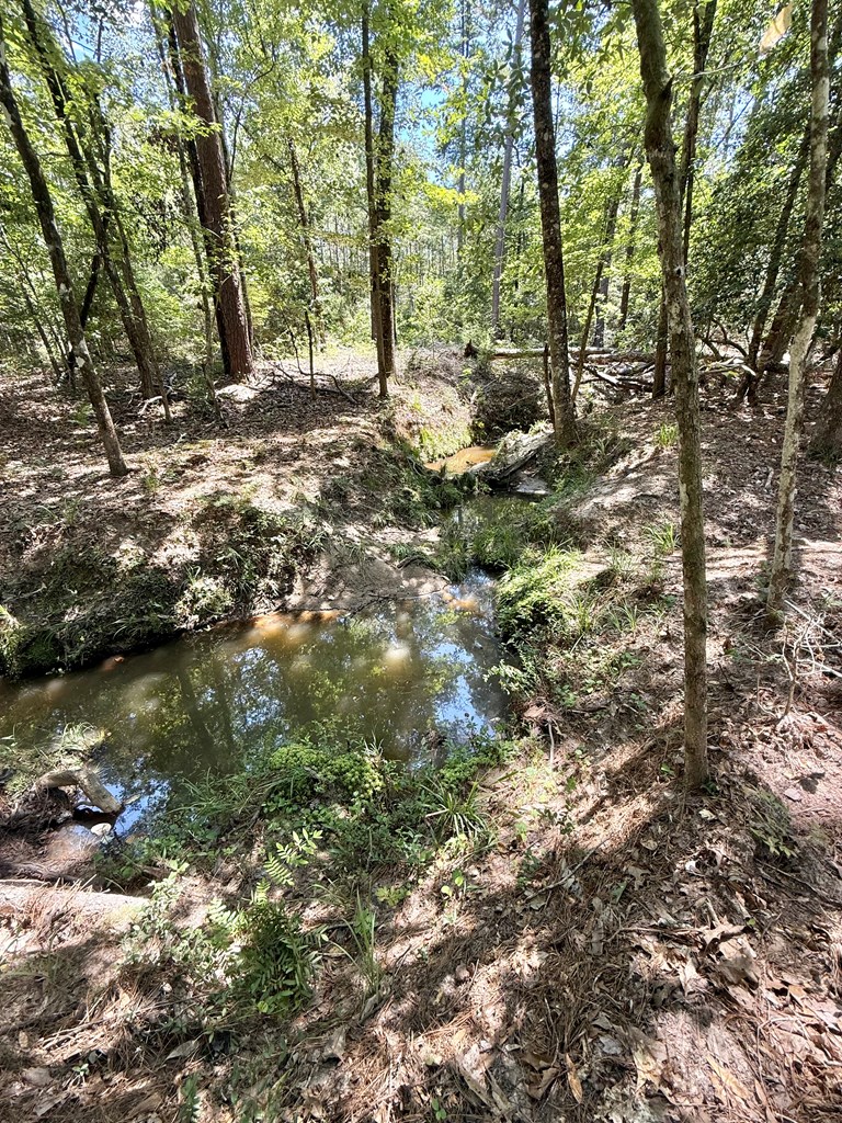 604 Pr 8014 Property Photo 11