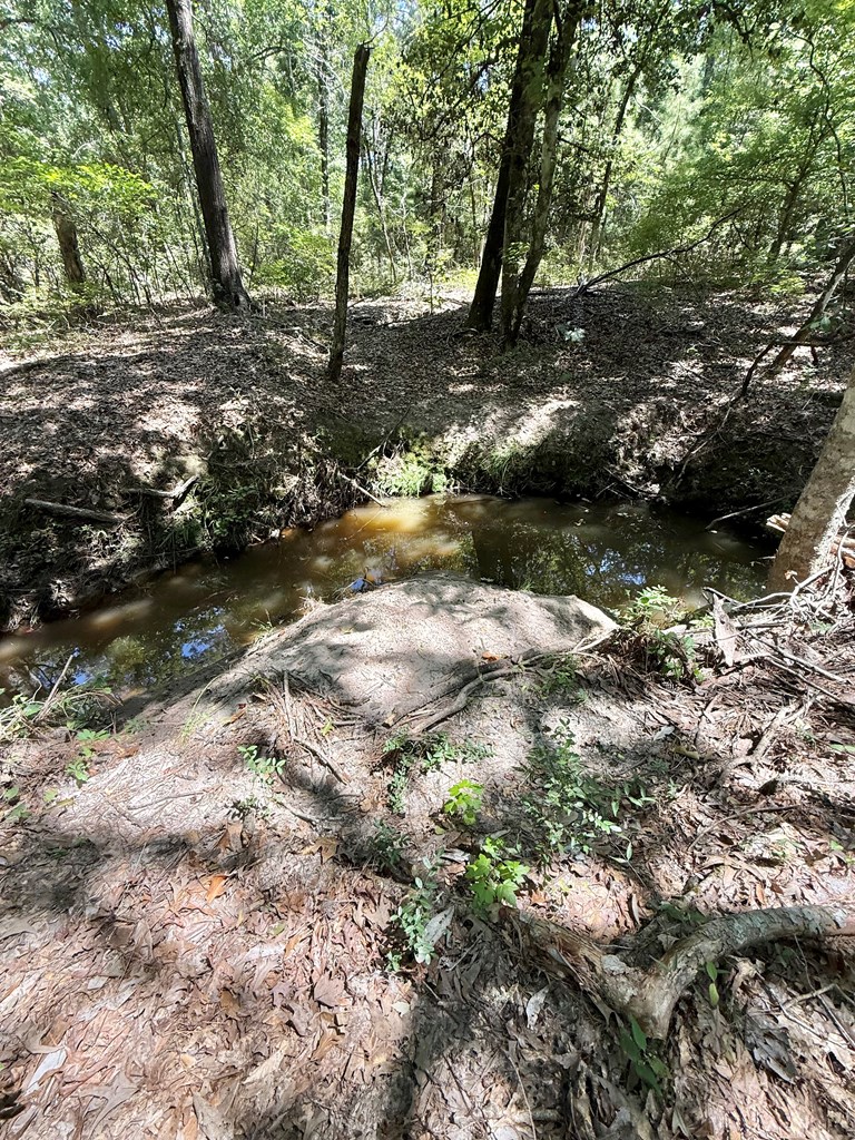 604 Pr 8014 Property Photo 12