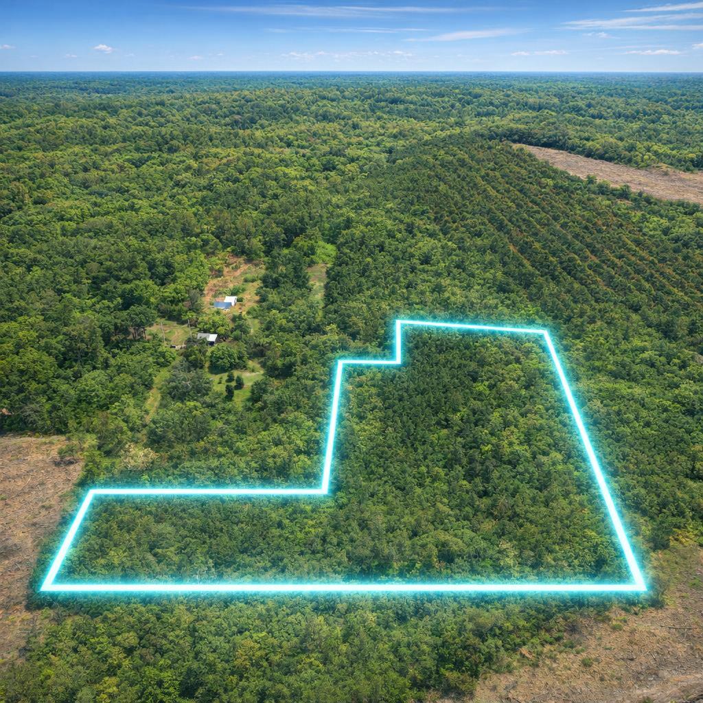 12.079ac Private Road 7630 Property Photo 1