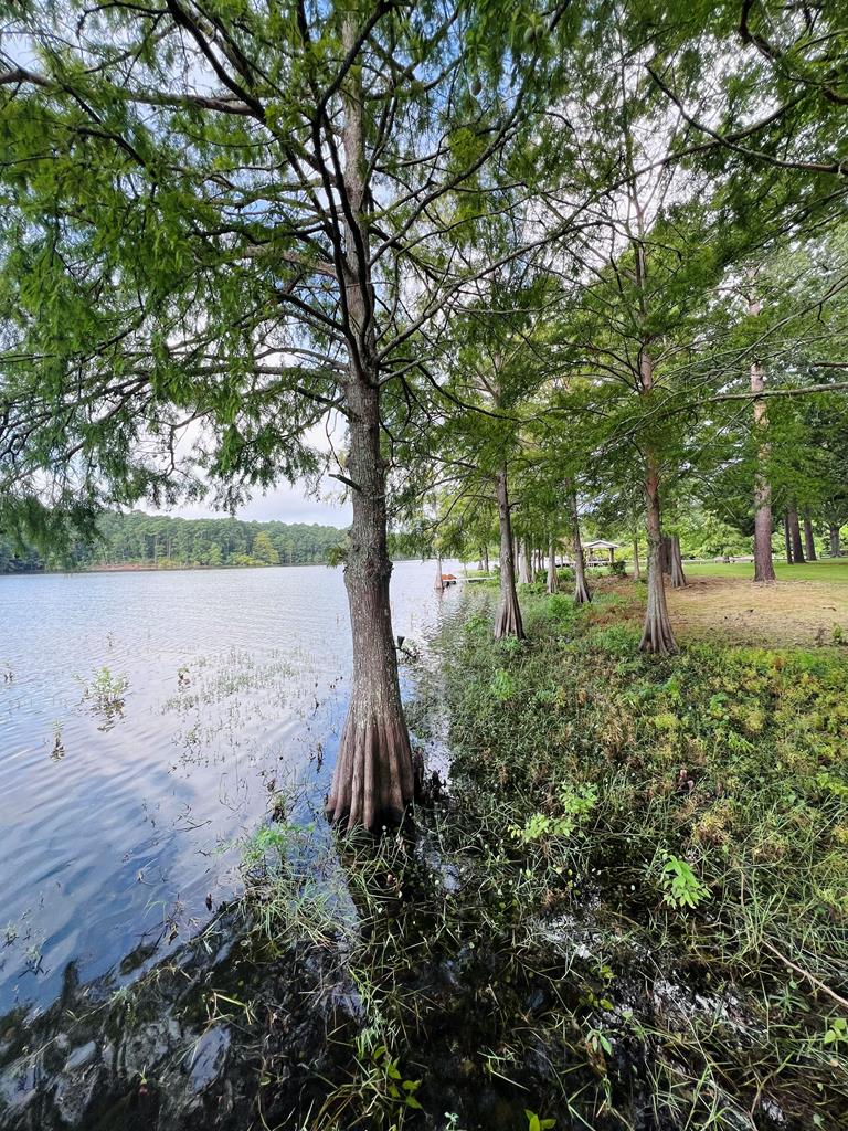 386 Lakeview Drive Property Photo 8