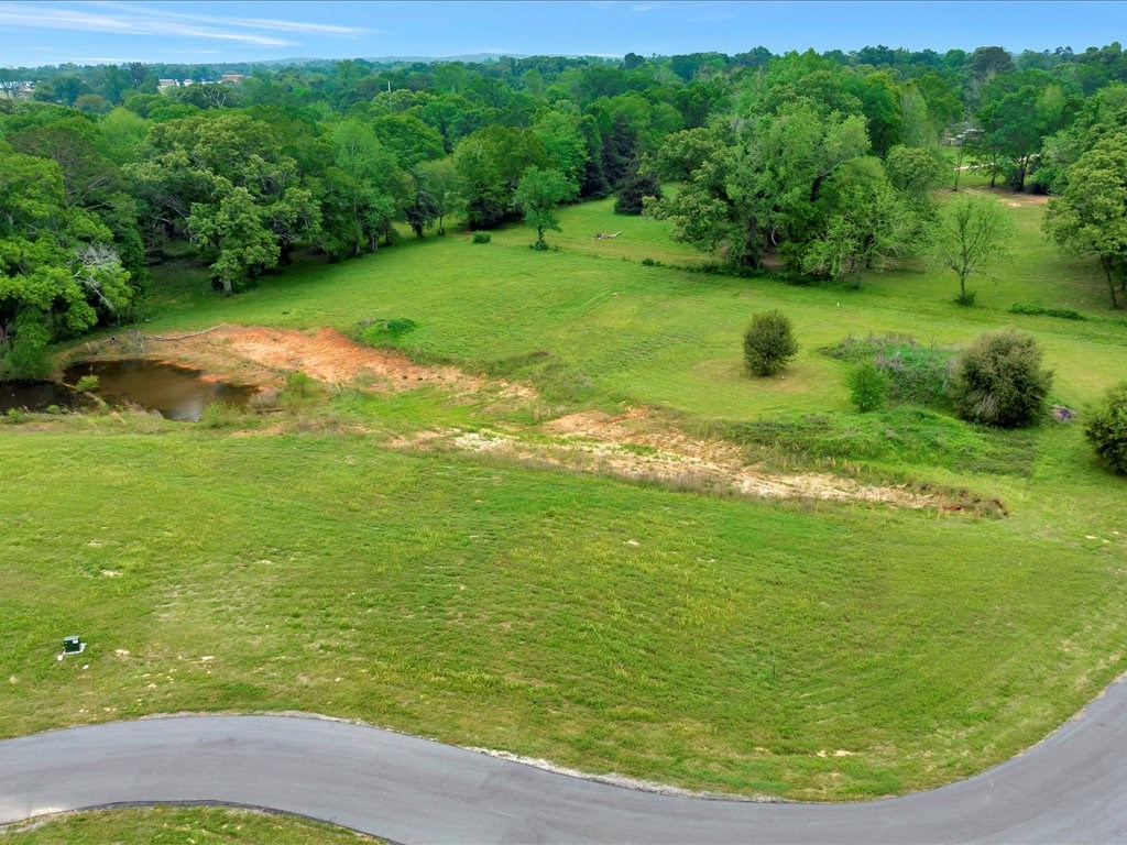 180 Doves Point Property Photo 3