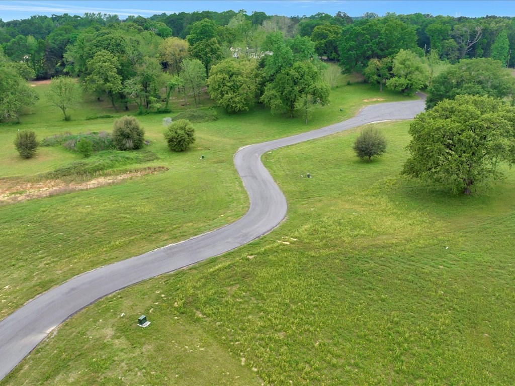 180 Doves Point Property Photo 4