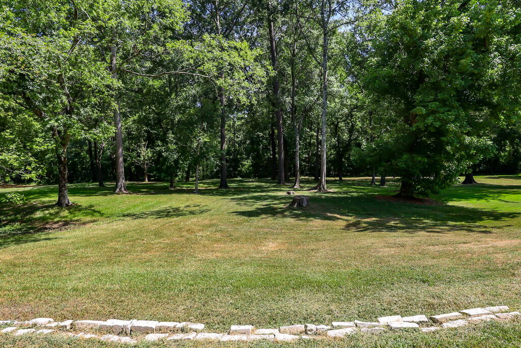 809 South Meadows Property Photo 15
