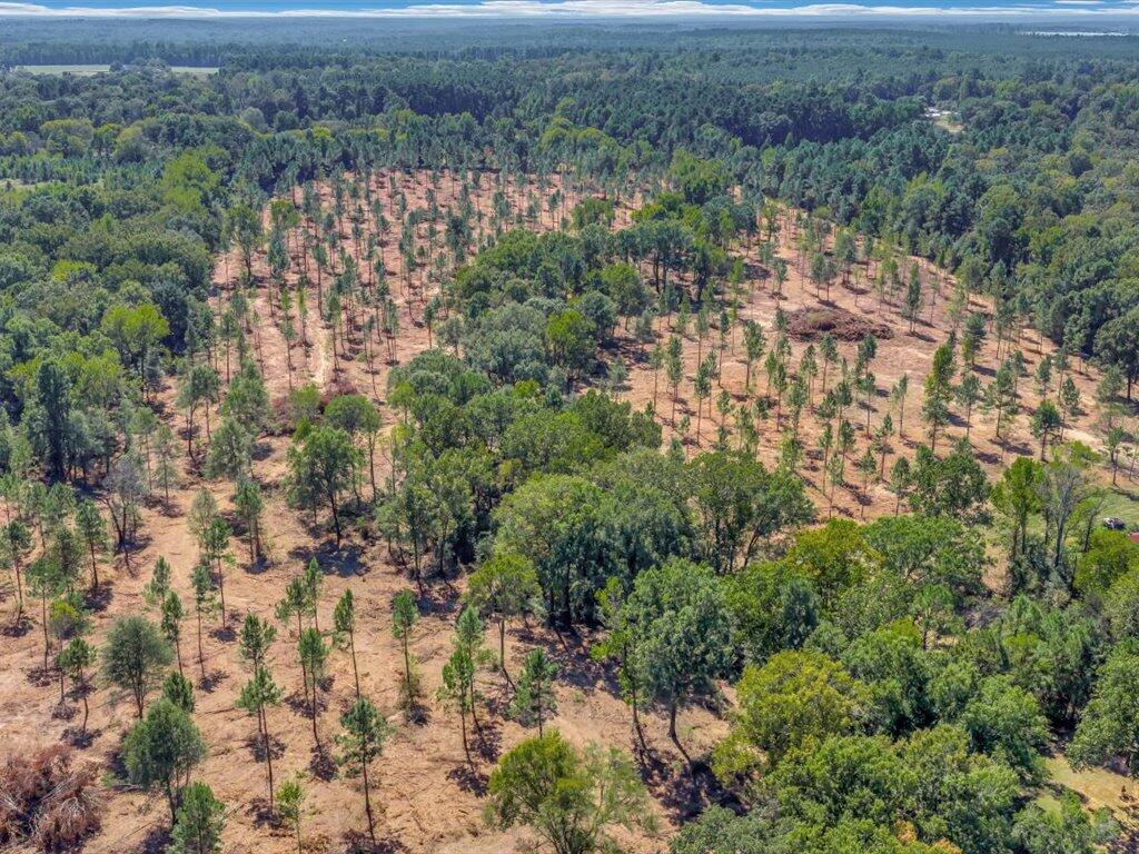 Pid 32475 Austin Lane Property Photo 4