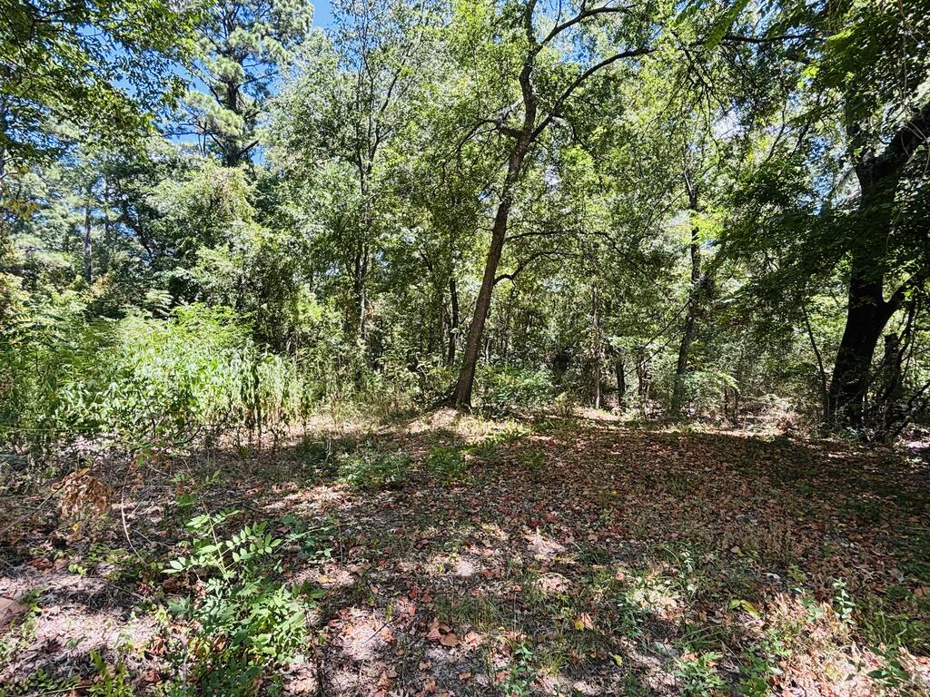 702 Maxwell Street Property Photo 20