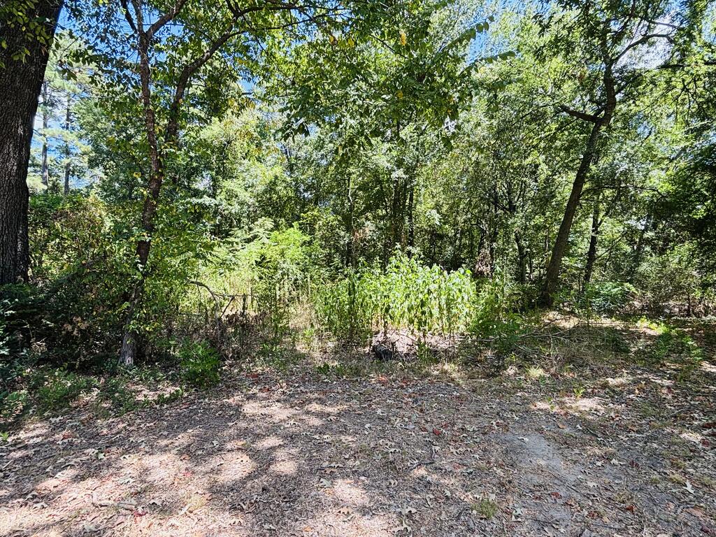 702 Maxwell Street Property Photo 21