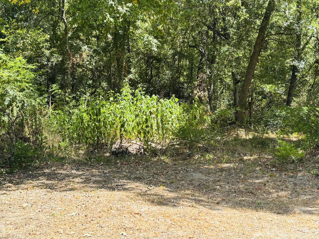 702 Maxwell Street Property Photo 22