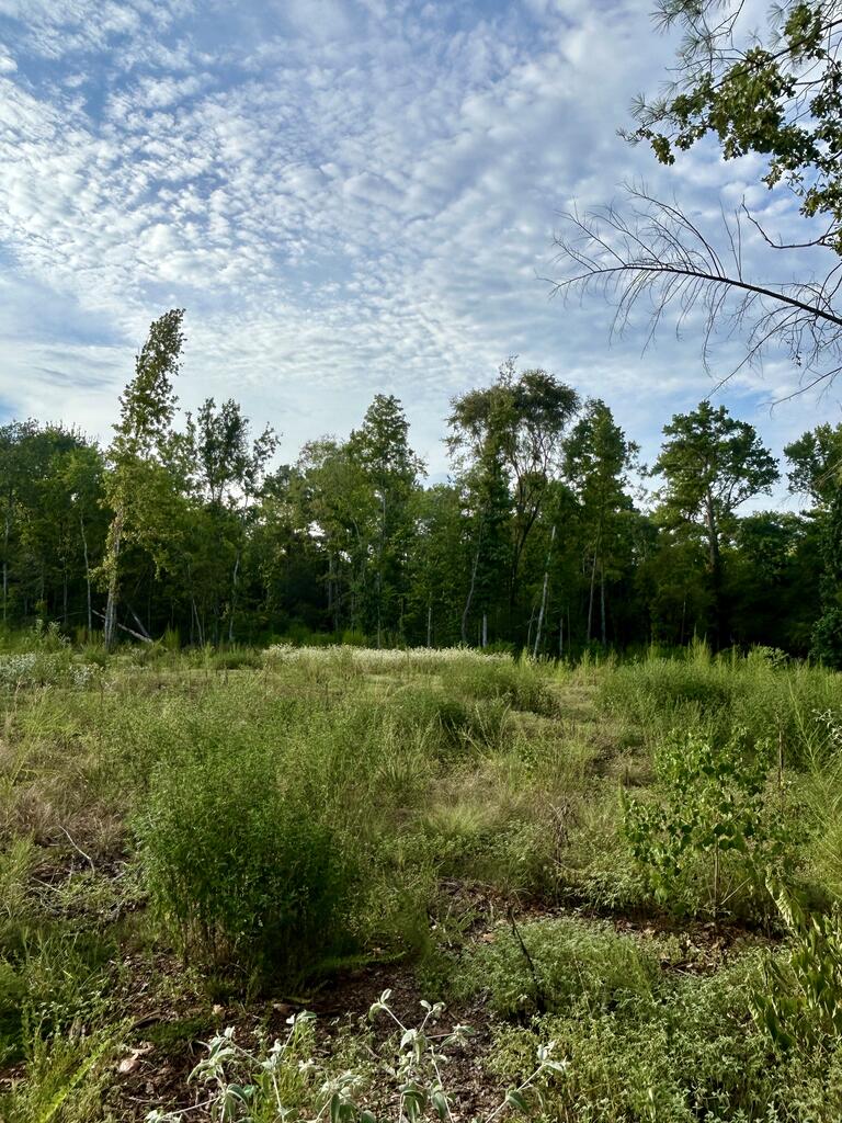 Pid 28848 Cr 1735 Property Photo 1