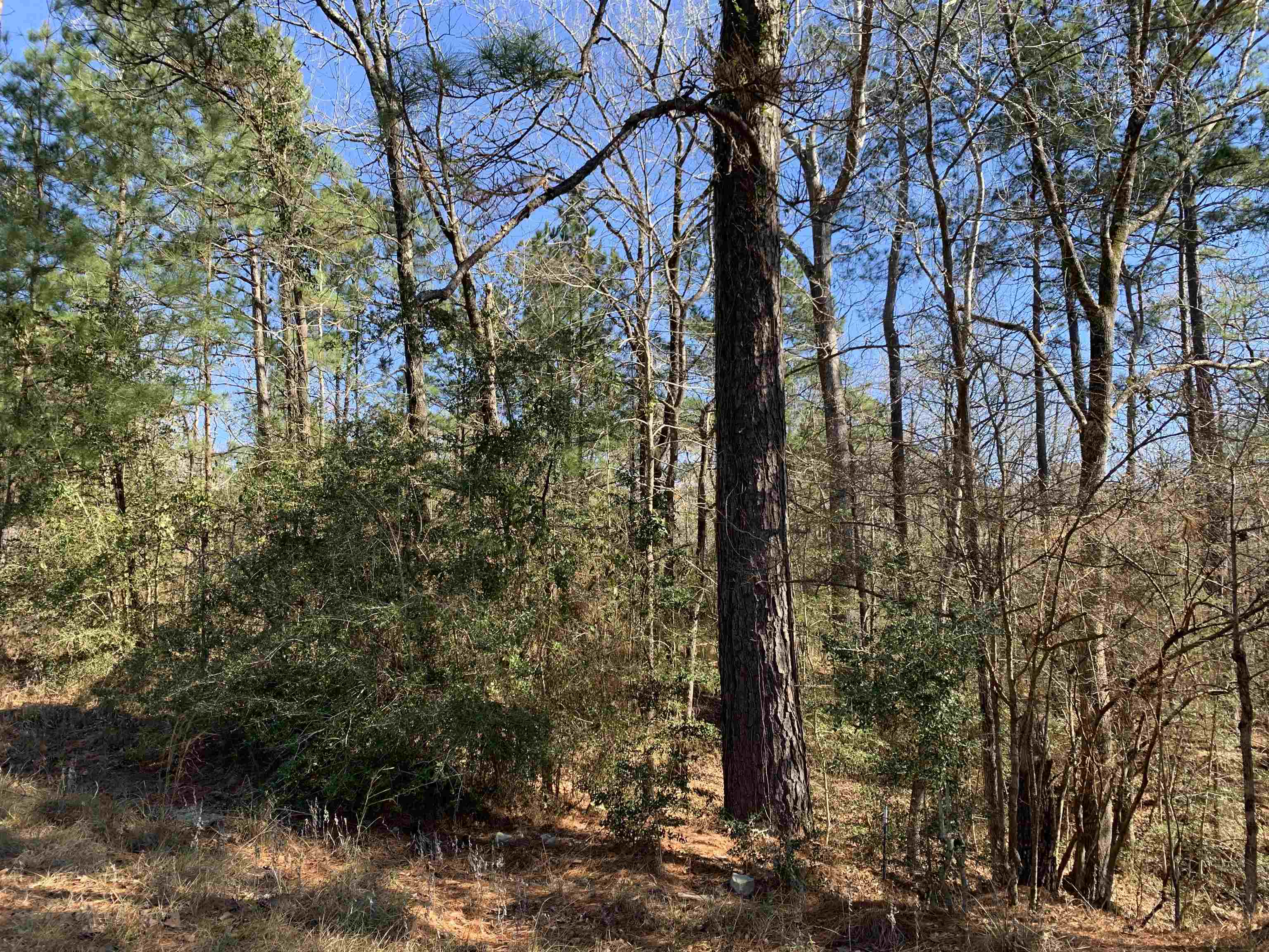 Pid 35661-35662 Wallis Point Property Photo 1