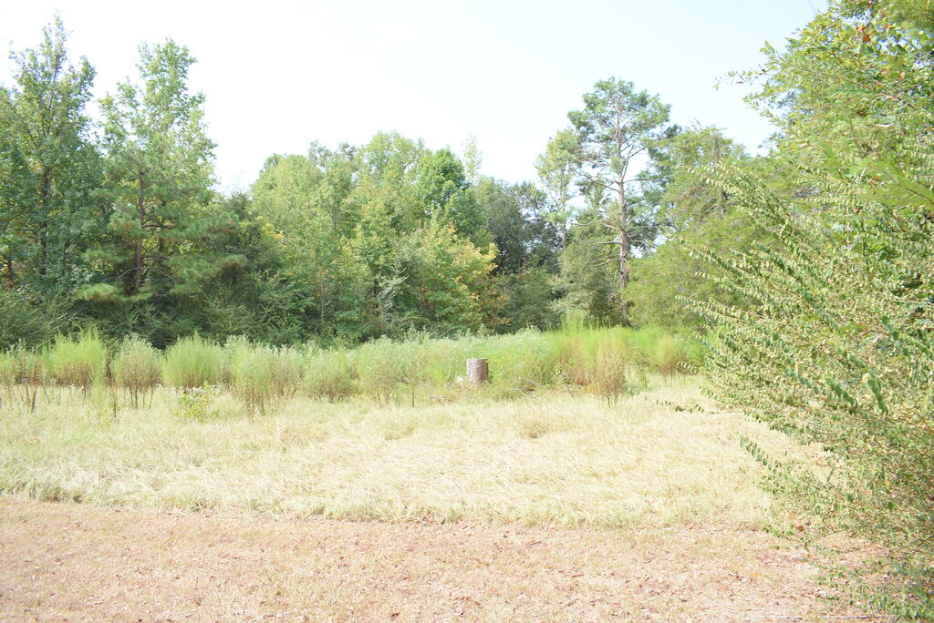 11240 County Road 3292 D Property Photo 14
