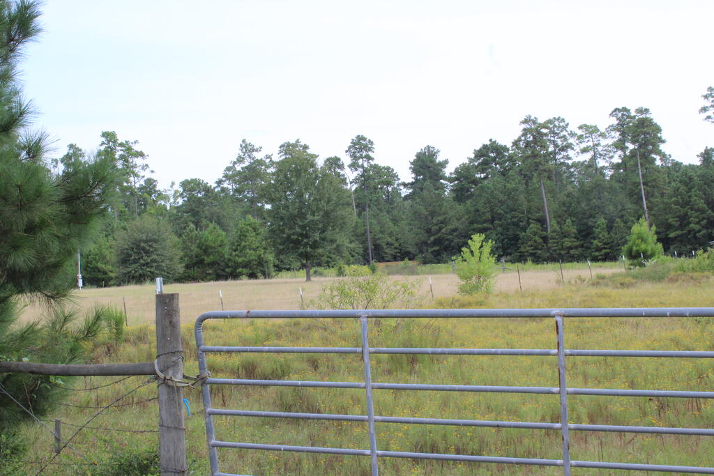 277 County Road 280 Property Photo 2