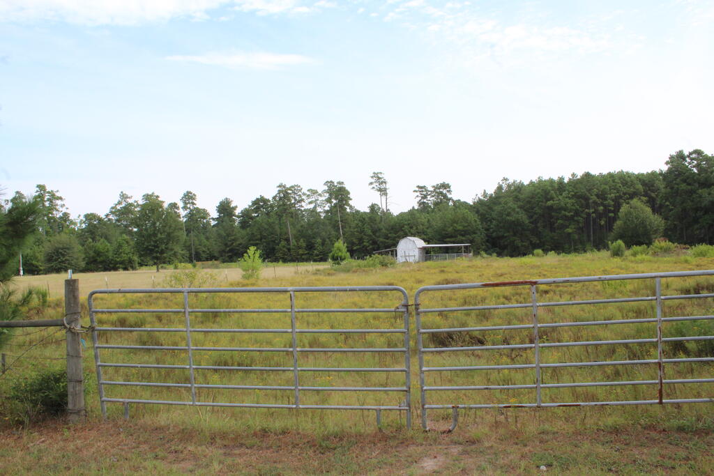 277 County Road 280 Property Photo 3