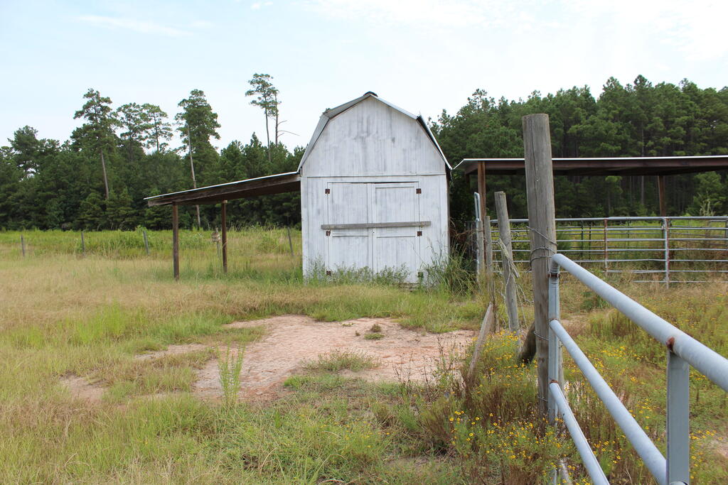 277 County Road 280 Property Photo 4