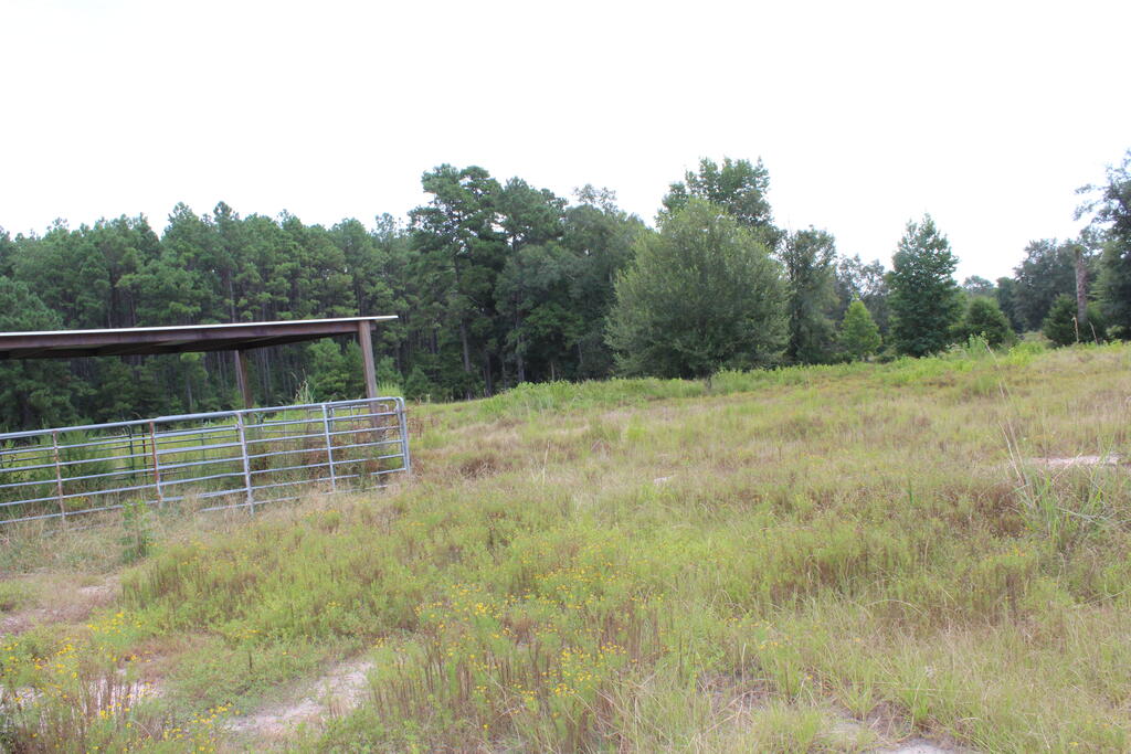 277 County Road 280 Property Photo 5