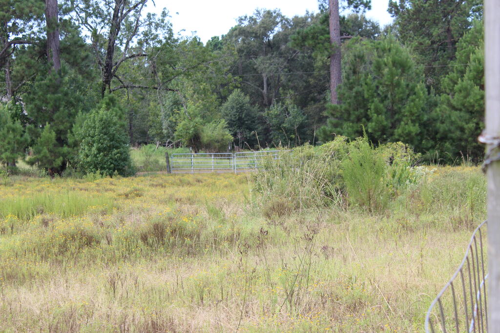 277 County Road 280 Property Photo 6