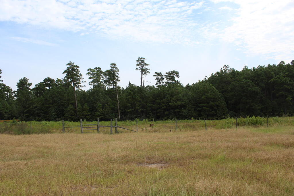 277 County Road 280 Property Photo 8
