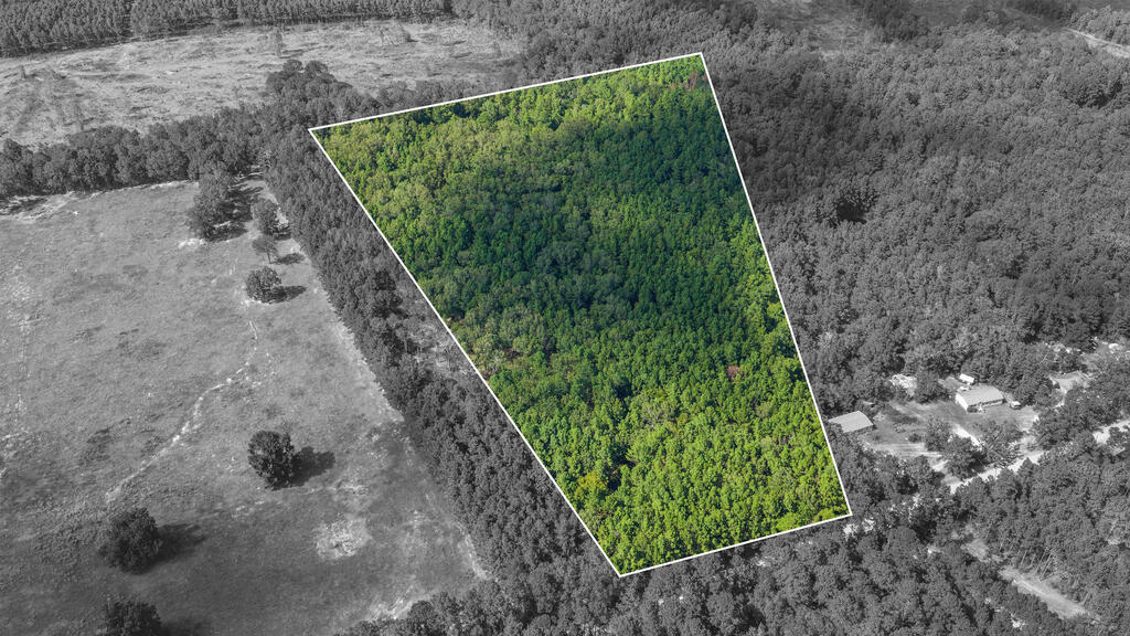 27365 Johnny Grimes Road Property Photo 1