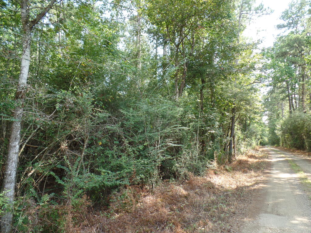 795 County Road 580 Property Photo 1