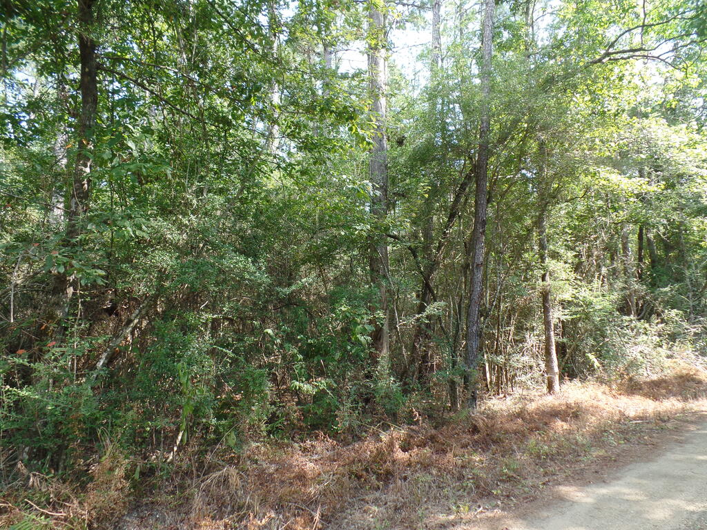 795 County Road 580 Property Photo 2