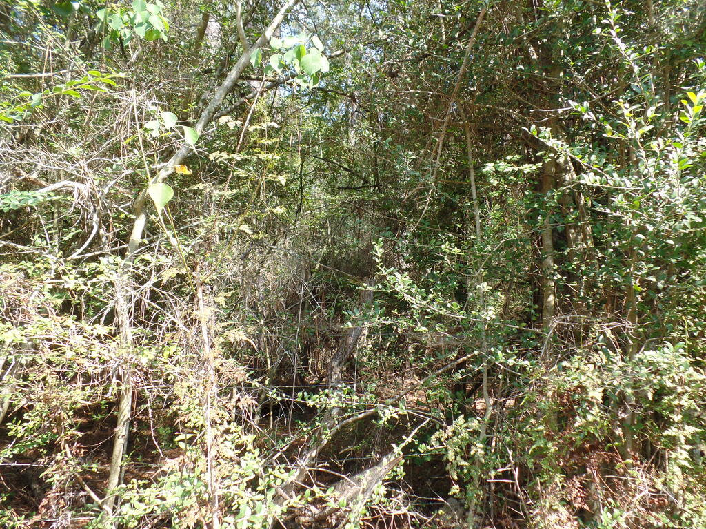 795 County Road 580 Property Photo 4