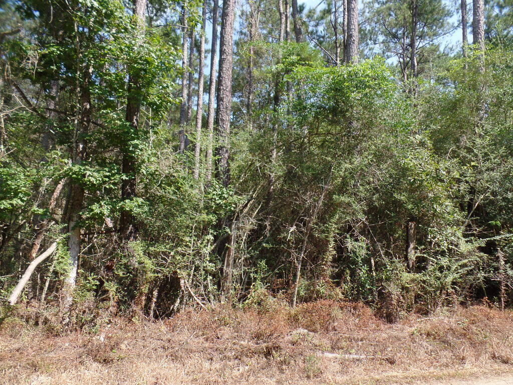 795 County Road 580 Property Photo 5