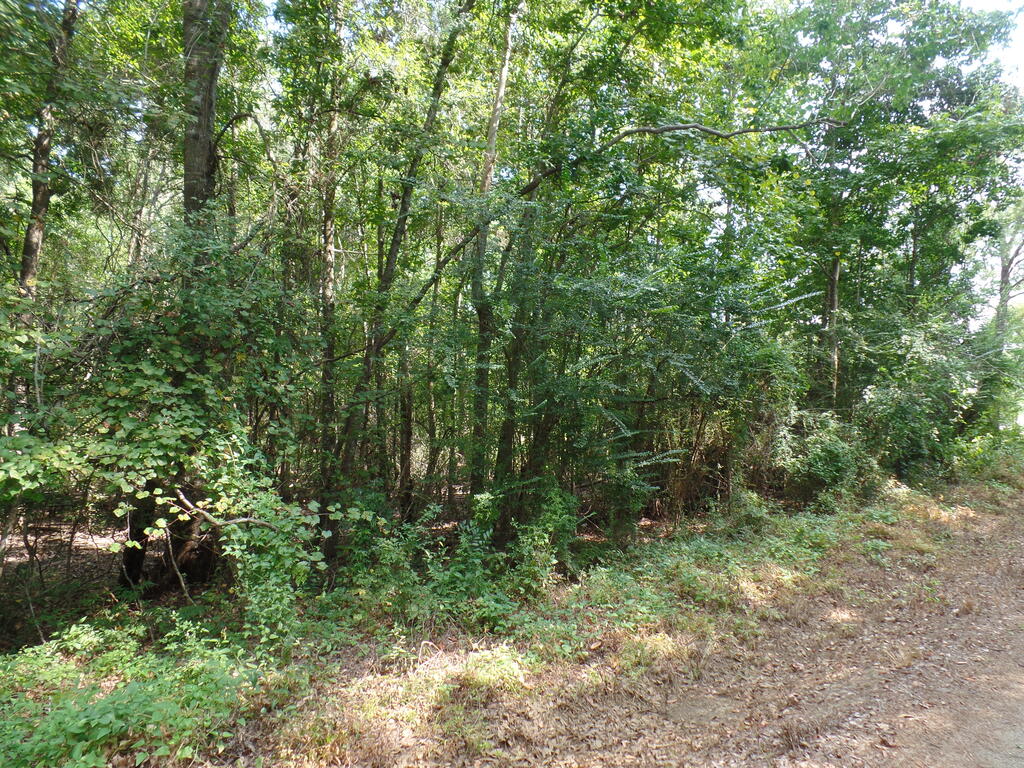 415 County Road 580 Property Photo 1