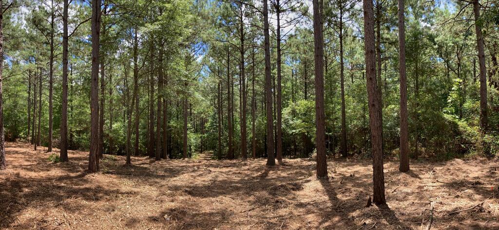 1360 County Road 403 Property Photo 1