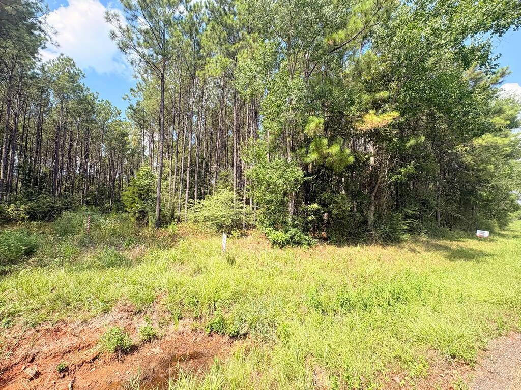 70015013 Property Photo 8