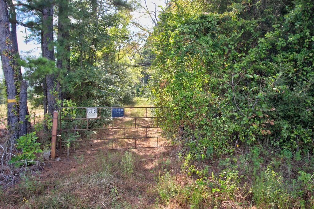 61.88 Acres Cr 2920 Property Photo 1