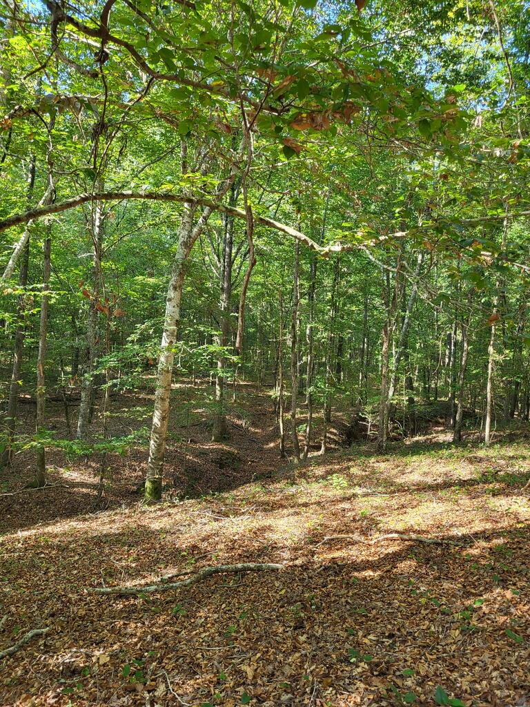 1294 Anders Rd Property Photo 1