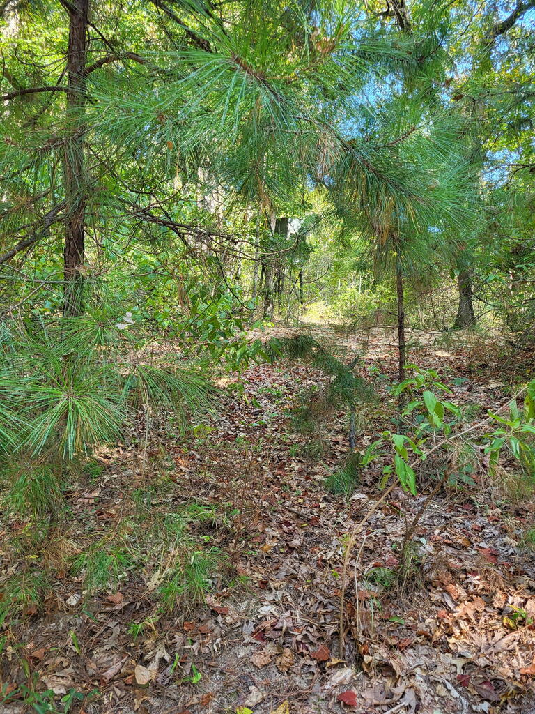1294 Anders Rd Property Photo 3