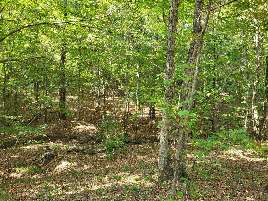 1294 Anders Rd Property Photo 4