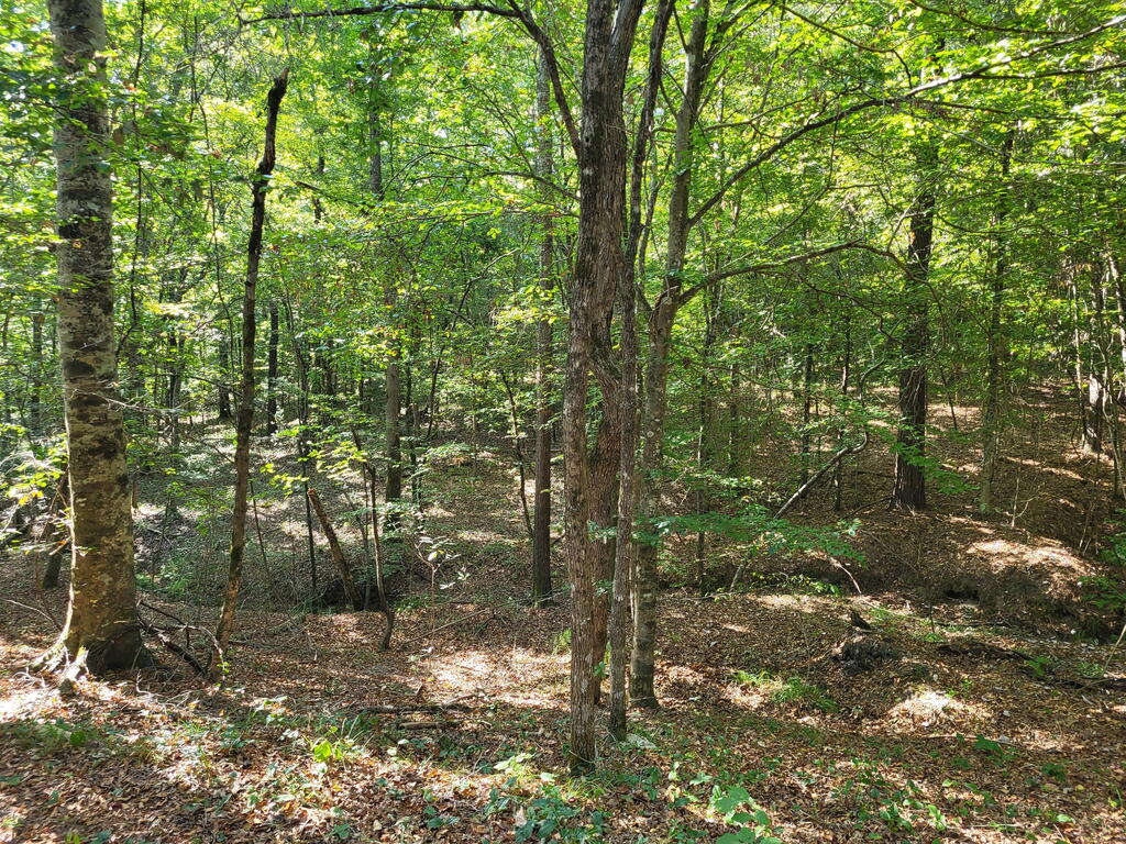 1294 Anders Rd Property Photo 5