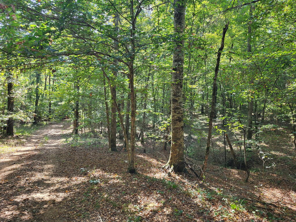 1294 Anders Rd Property Photo 6