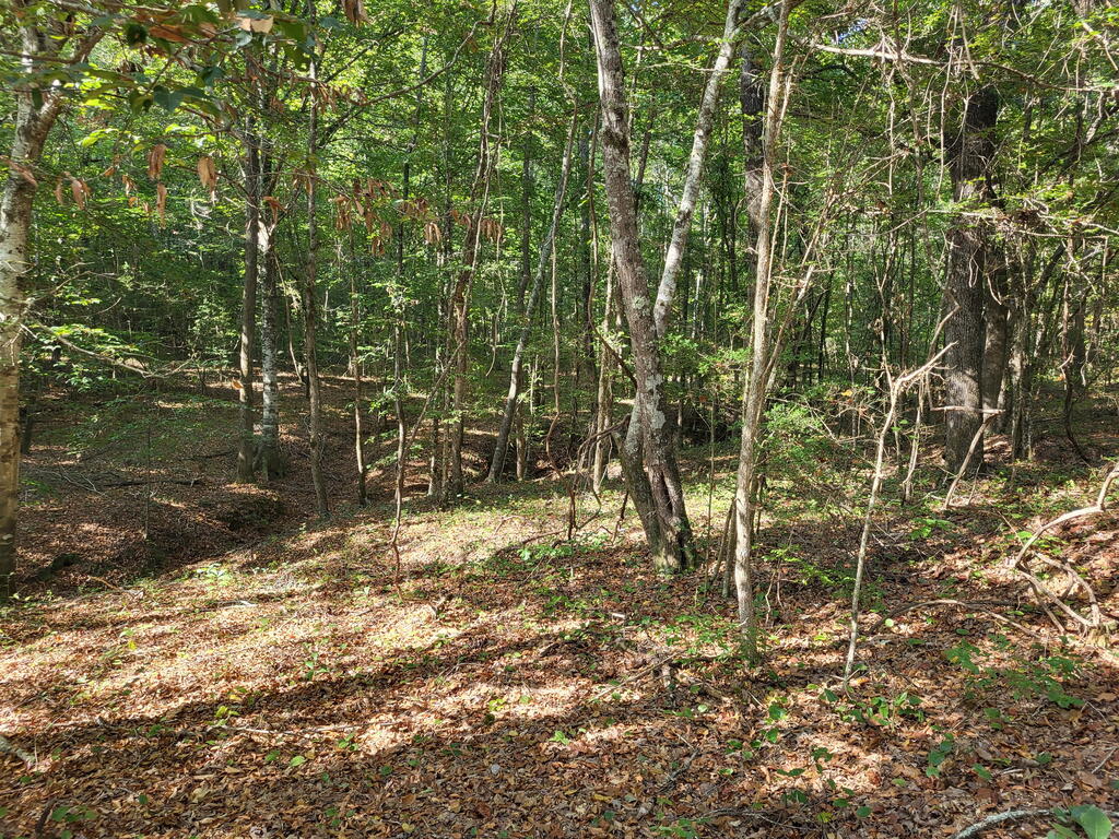 1294 Anders Rd Property Photo 8