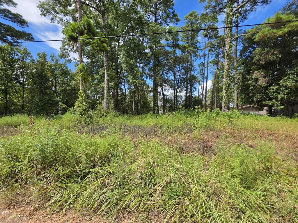 156 Lakeview Dr Property Photo 1